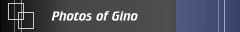 Photos of Gino