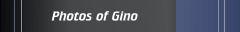 Photos of Gino